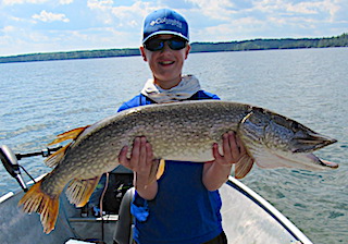 42-Inch Trophy Northern Pike Catch of a Lifetime Fishing by Tyler Pim at Fireside Lodge in Canada